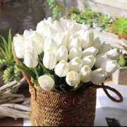 ヒメ日記 2026/01/08 19:19 投稿 あいら 大阪人妻援護会