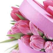 ヒメ日記 2026/03/20 13:38 投稿 あいら 大阪人妻援護会