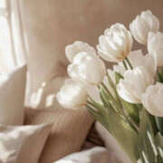 ヒメ日記 2025/05/09 20:59 投稿 あいら 大阪ミナミ人妻援護会