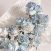 ヒメ日記 2025/05/28 22:02 投稿 あいら 大阪ミナミ人妻援護会