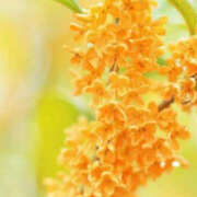 ヒメ日記 2025/11/04 20:15 投稿 あいら 大阪ミナミ人妻援護会