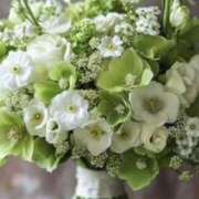 ヒメ日記 2026/03/07 14:15 投稿 あいら 尼崎人妻援護会