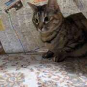 ヒメ日記 2025/02/06 22:56 投稿 ゆい 千葉 魅惑の人妻