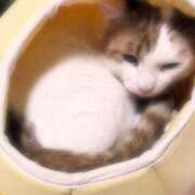 ヒメ日記 2025/03/06 14:26 投稿 ゆい 千葉 魅惑の人妻