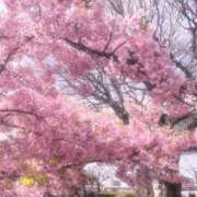 ヒメ日記 2025/03/14 15:28 投稿 ゆい 千葉 魅惑の人妻