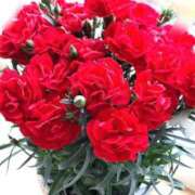 ヒメ日記 2025/05/11 18:12 投稿 ゆい 千葉 魅惑の人妻