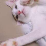 ヒメ日記 2025/07/22 15:50 投稿 ゆい 千葉 魅惑の人妻