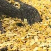 ヒメ日記 2025/10/15 15:18 投稿 ゆい 千葉 魅惑の人妻