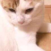 ヒメ日記 2025/10/24 16:06 投稿 ゆい 千葉 魅惑の人妻