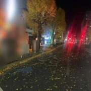 ゆい 黄色い葉が、 千葉 魅惑の人妻