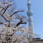 ゆい お花見 千葉 魅惑の人妻