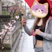 ゆい 雨と桜の花と赤い傘 千葉 魅惑の人妻