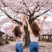 ゆい 舞う桜 千葉 魅惑の人妻