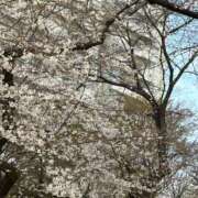 ヒメ日記 2026/03/27 16:51 投稿 ゆず(ゆず) ロケットワイフ