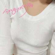 ヒメ日記 2026/10/13 12:32 投稿 ゆみ 五反田人妻ヒットパレード（シンデレラグループ）