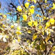 ヒメ日記 2025/01/03 23:27 投稿 西谷 熟女の風俗最終章 新横浜店