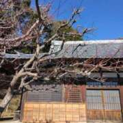 ヒメ日記 2025/02/03 13:06 投稿 西谷 熟女の風俗最終章 新横浜店