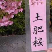 ヒメ日記 2025/02/10 12:09 投稿 西谷 熟女の風俗最終章 新横浜店