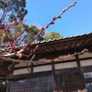 ヒメ日記 2025/02/23 22:56 投稿 西谷 熟女の風俗最終章 新横浜店