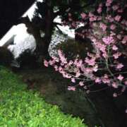 ヒメ日記 2025/03/26 07:39 投稿 西谷 熟女の風俗最終章 新横浜店