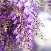 ヒメ日記 2025/04/25 21:06 投稿 西谷 熟女の風俗最終章 新横浜店