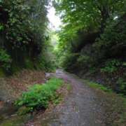 ヒメ日記 2025/05/23 13:16 投稿 西谷 熟女の風俗最終章 新横浜店