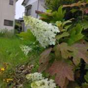 ヒメ日記 2025/06/02 20:16 投稿 西谷 熟女の風俗最終章 新横浜店