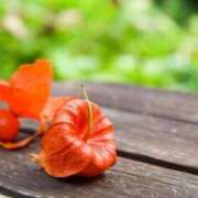 ヒメ日記 2025/07/01 13:46 投稿 西谷 熟女の風俗最終章 新横浜店