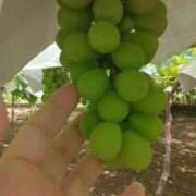 ヒメ日記 2025/07/22 13:06 投稿 西谷 熟女の風俗最終章 新横浜店