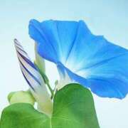 ヒメ日記 2025/07/28 11:03 投稿 西谷 熟女の風俗最終章 新横浜店