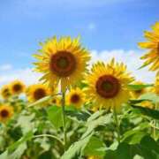 ヒメ日記 2025/08/05 08:56 投稿 西谷 熟女の風俗最終章 新横浜店