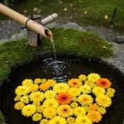 ヒメ日記 2025/09/14 11:36 投稿 西谷 熟女の風俗最終章 新横浜店