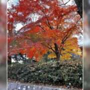 ヒメ日記 2025/10/27 09:07 投稿 西谷 熟女の風俗最終章 新横浜店