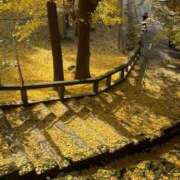 ヒメ日記 2025/12/02 22:08 投稿 西谷 熟女の風俗最終章 新横浜店