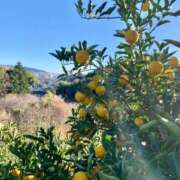 ヒメ日記 2025/12/20 19:56 投稿 西谷 熟女の風俗最終章 新横浜店