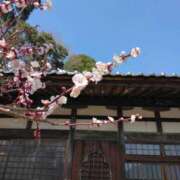 ヒメ日記 2026/01/08 17:43 投稿 西谷 熟女の風俗最終章 新横浜店