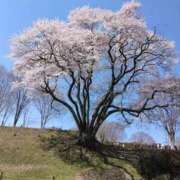 ヒメ日記 2026/04/13 15:36 投稿 西谷 熟女の風俗最終章 新横浜店