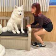 ヒメ日記 2025/01/07 10:02 投稿 のあ お姉京都