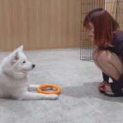 ヒメ日記 2025/02/23 09:26 投稿 のあ お姉京都