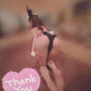 ヒメ日記 2025/04/30 16:02 投稿 のあ お姉京都