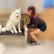 ヒメ日記 2025/05/18 12:22 投稿 のあ お姉京都