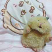 まりぃ はむにぎり🐹🖤 横浜・関内サンキュー