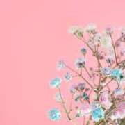 ヒメ日記 2025/04/17 14:24 投稿 いちか チューリップ福井本館