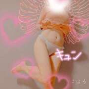 ヒメ日記 2024/12/11 17:32 投稿 こはる 熟女総本店 堺東店