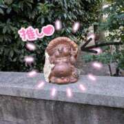 ヒメ日記 2025/02/06 05:23 投稿 こはる 熟女総本店 堺東店