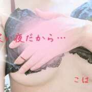 ヒメ日記 2025/02/20 12:11 投稿 こはる 熟女総本店 堺東店