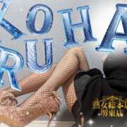 ヒメ日記 2025/03/19 07:02 投稿 こはる 熟女総本店 堺東店