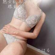 ヒメ日記 2025/05/26 12:46 投稿 こはる 熟女総本店 堺東店