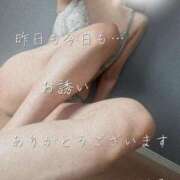 ヒメ日記 2025/05/29 07:01 投稿 こはる 熟女総本店 堺東店