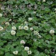 ヒメ日記 2025/06/07 09:03 投稿 こはる 熟女総本店 堺東店